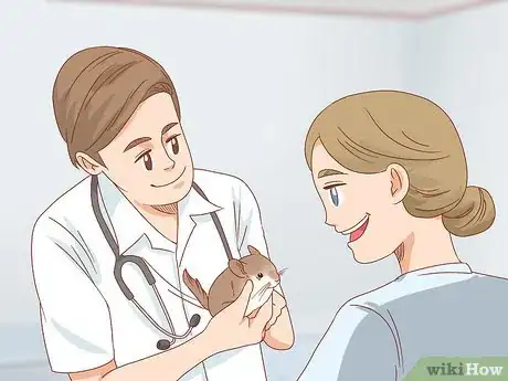 Image titled Treat Mites in Chinchillas Step 4