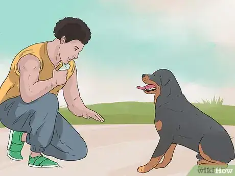Image titled Teach a Dog to Read Sign Language Step 10