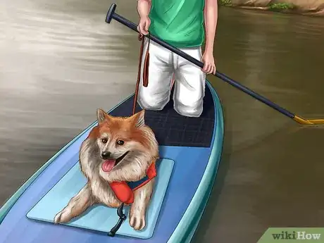 Image titled Be Good With Small Dogs Step 8