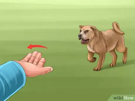 Image titled Introduce Training to a New Puppy Step 3