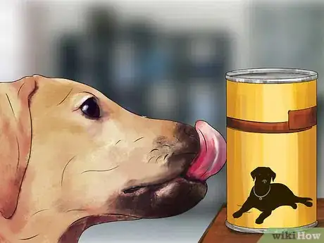 Image titled Treat Fever in Dogs Step 6