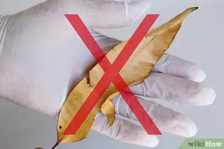 Image titled Press Leaves Step 3