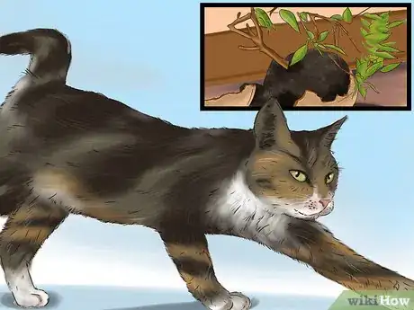 Image titled Choose Safe Houseplants when You Have a Cat Step 9