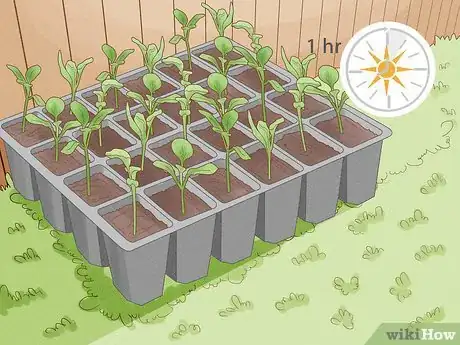 Image titled Grow Vegetables in New England Step 12