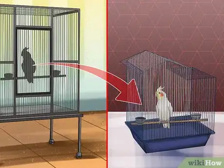 Image titled Deal with Cockatiel Night Frights Step 5