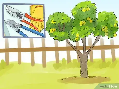 Image titled Prune a Quince Tree Step 4