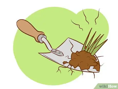 Image titled Plant Asparagus Step 17