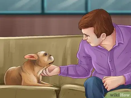 Image titled Be Good With Small Dogs Step 4