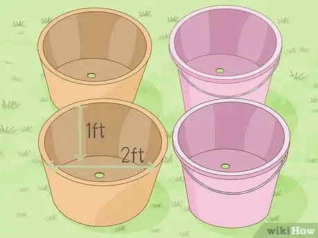 Image titled Plant Rice Indoors Step 4