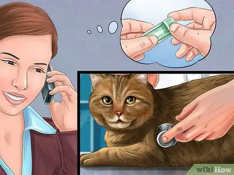 Image titled Handle Lung Fluke Infections in Cats Step 1