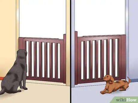 Image titled Treat Canine Infectious Hepatitis Step 5