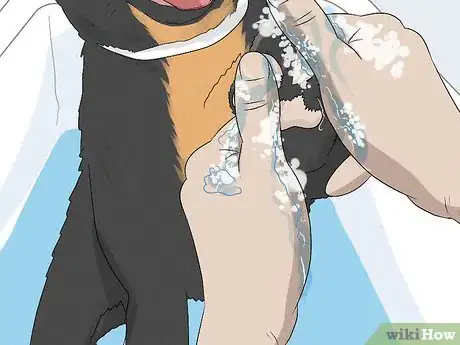 Image titled Wash a Dog's Paws Step 5