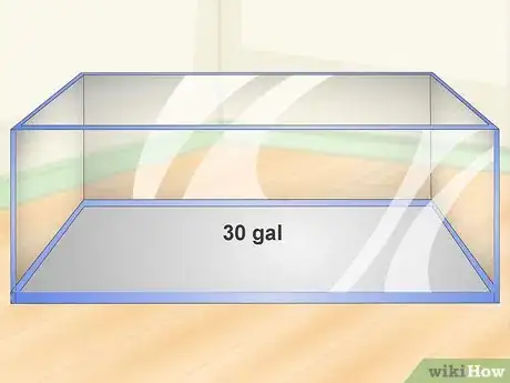 Image titled Care for a Pearl Gourami Step 1