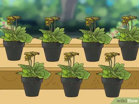 Image titled Buy Potted Flowers Step 5