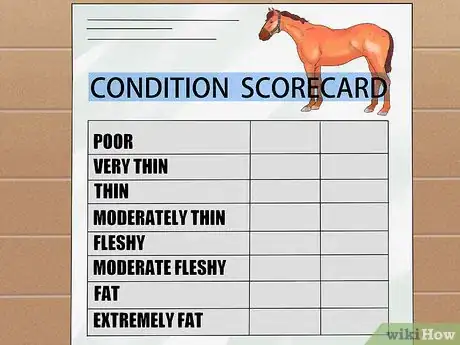 Image titled Do Condition Scoring for Horse Yearlings Step 5