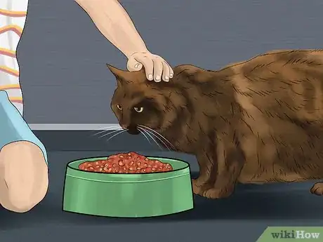 Image titled Give Tricyclic Antidepressants to a Cat Step 15