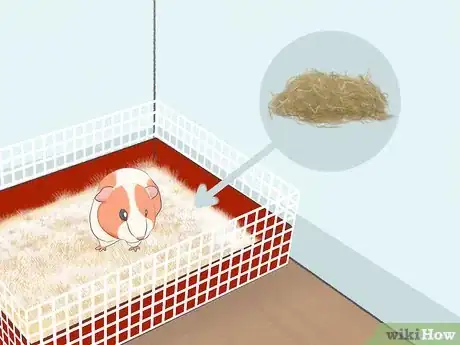 Image titled Reduce Guinea Pig Allergy Step 12