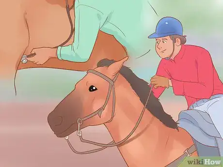 Image titled Condition Your Horse for Endurance Riding Step 7