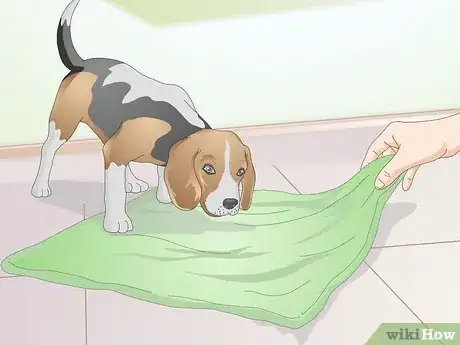 Image titled Select a Dog Bed Step 5