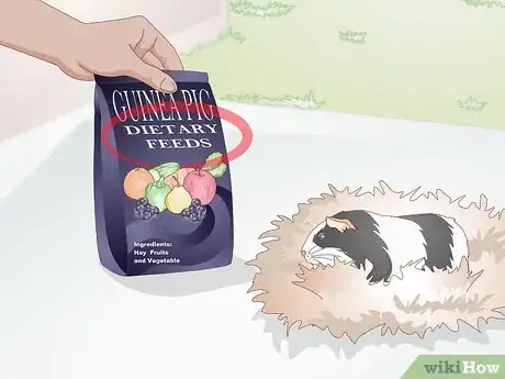 Image titled Feed a Guinea Pig a Well Balanced Meal Step 12