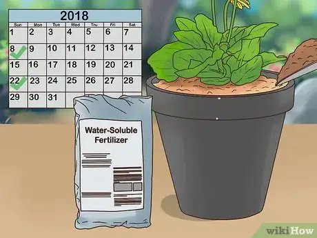 Image titled Buy Potted Flowers Step 14
