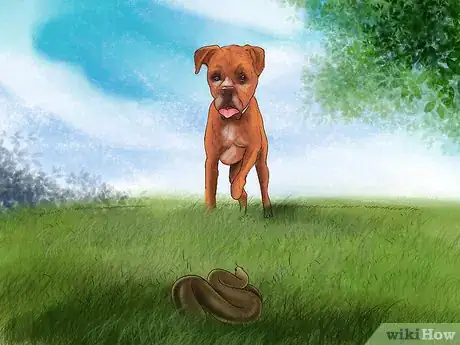 Image titled Keep Your Dog Safe from Wild Animals Step 7