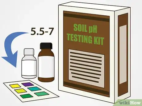 Image titled Maintain Roses Step 21