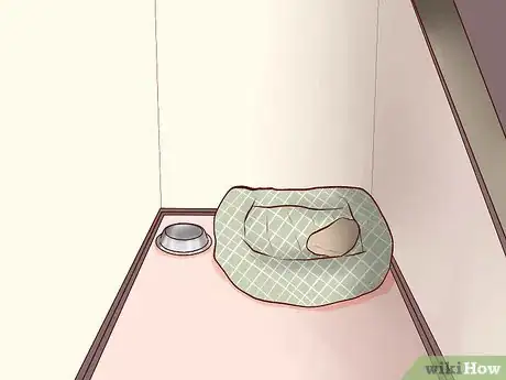 Image titled Introduce Dogs to Cats Step 2