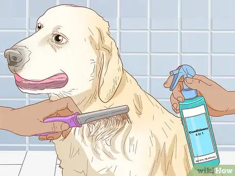 Image titled Treat Skin Allergies in Golden Retrievers Step 6