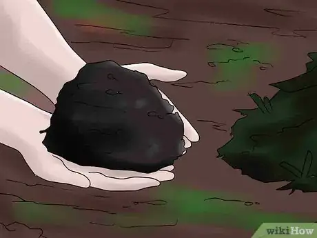 Image titled Help Carnations Make a Comeback Step 8