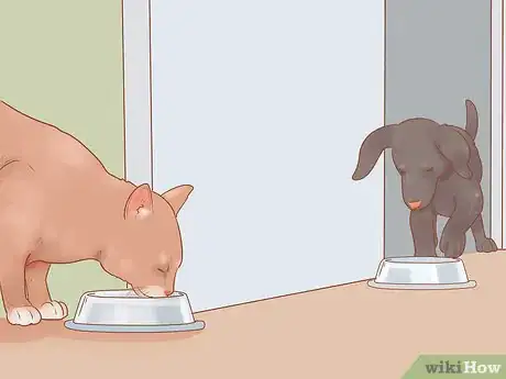 Image titled Keep a Pet When You Have Cats Step 5