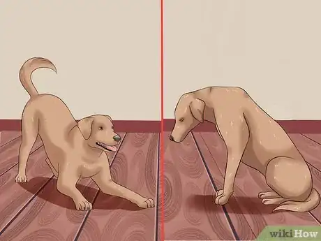 Image titled Tame a Dog Step 8