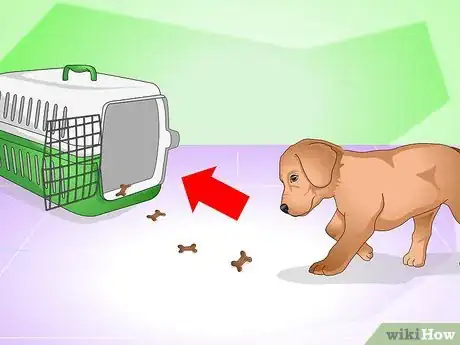 Image titled Discipline a New Puppy Step 15