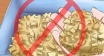 Toilet Train a Hamster