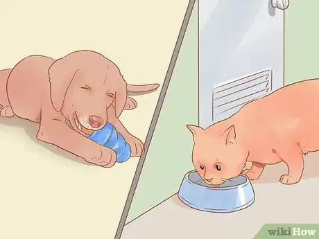 Image titled Keep a Pet When You Have Cats Step 2