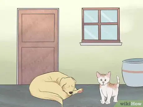 Image titled Take Care of Pets During a Hurricane Step 5