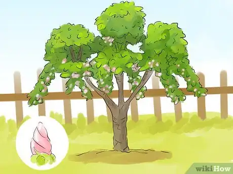 Image titled Prune a Quince Tree Step 6