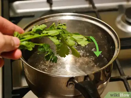 Image titled Freeze Cilantro Step 5
