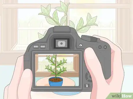 Image titled Identify a Houseplant Step 4