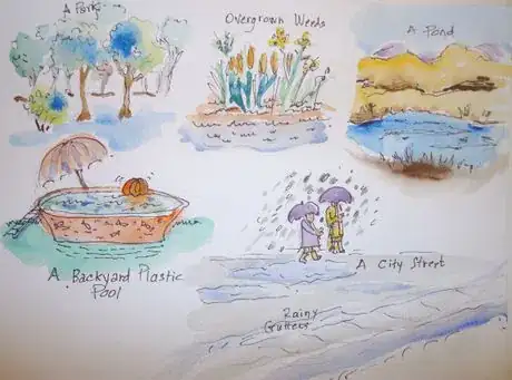 Image titled Environmentsduck