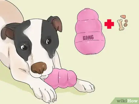 Image titled Keep Your Dog Comfortable Indoors Step 7