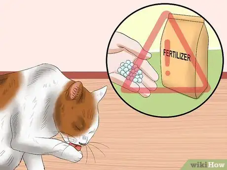 Image titled Protect Your Cat from Household Hazards Step 10