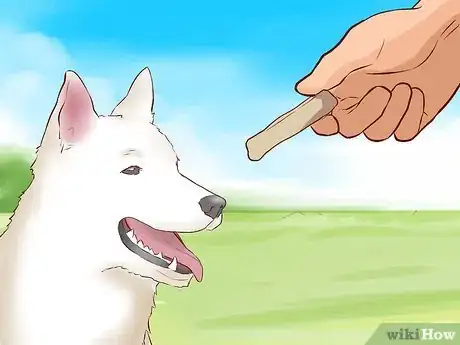 Image titled Introduce Dogs to Cats Step 8