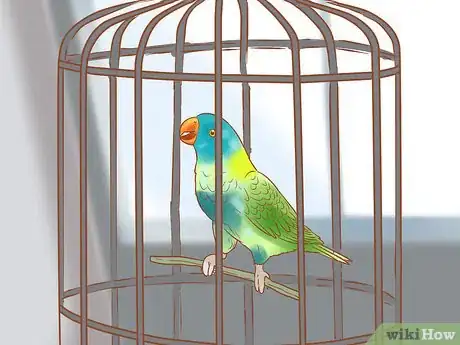 Image titled Treat Chlamydiosis in Lories and Lorikeets Step 19