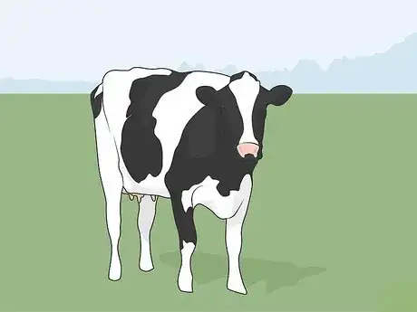Image titled Treat Bovine Respiratory Disease Step 09