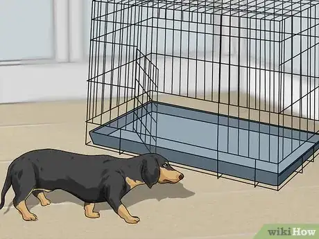 Image titled Crate Train Dachshunds Step 4