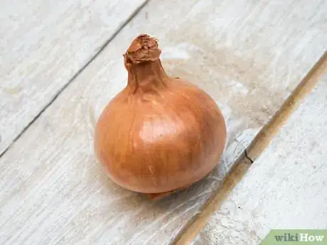 Image titled Make Homemade Master Tonic Step 2