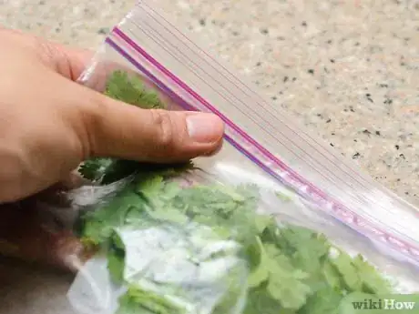 Image titled Freeze Cilantro Step 9
