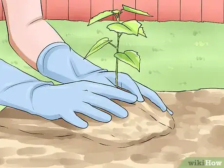 Image titled Grow Great Herbs Step 15