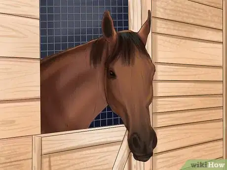 Image titled Care for Your Horse In the Winter Step 27